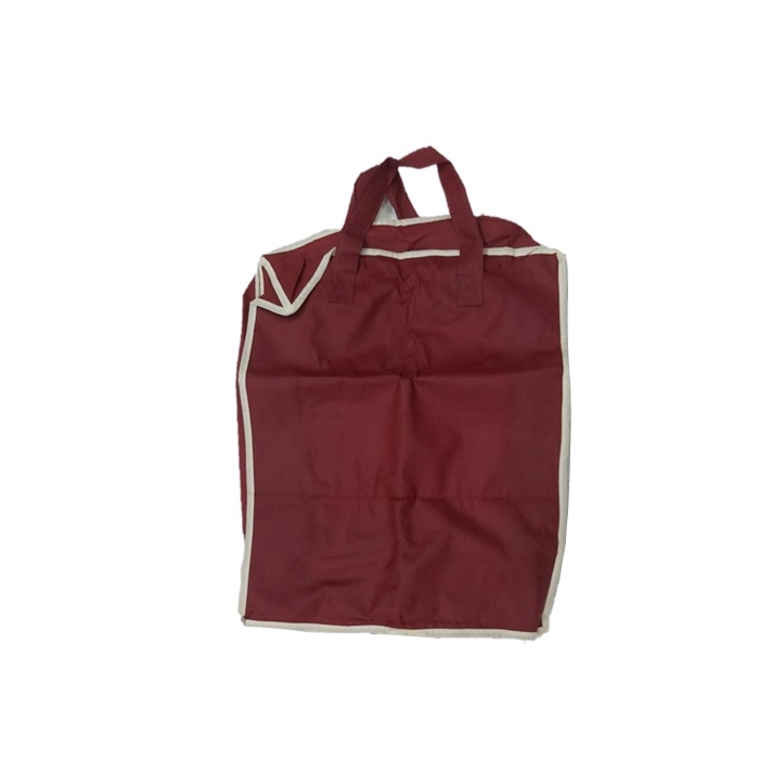 in your shoe tote bag